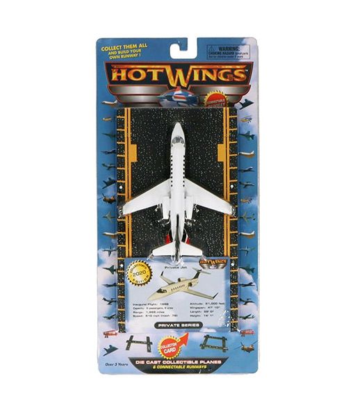 Hot Wings Private Jet - Image 2